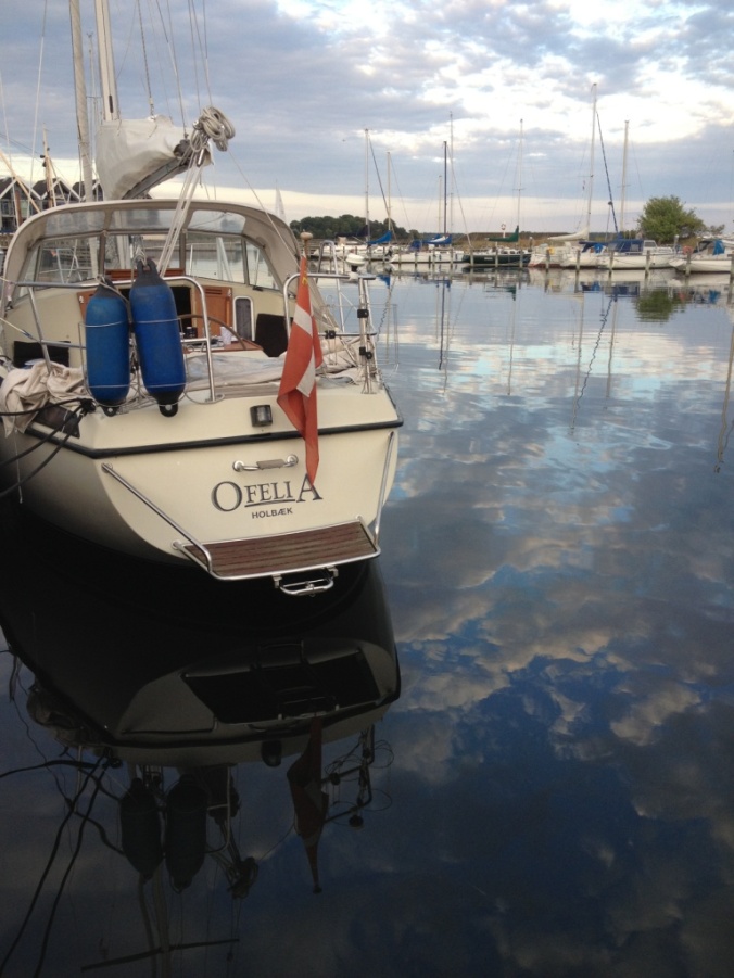 MAXI 95 årgang 1981 ny pris 245.000,-